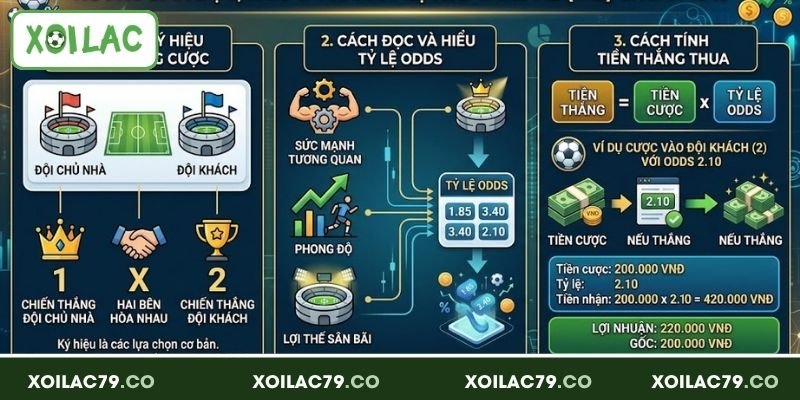 Kèo Châu Âu - Tìm Hiểu Tỷ Lệ Cược Phổ Biến Hiện Nay 3 Cách đọc cược Châu Âu dễ hiểu cho người mới