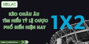Kèo Châu Âu - Tìm Hiểu Tỷ Lệ Cược Phổ Biến Hiện Nay